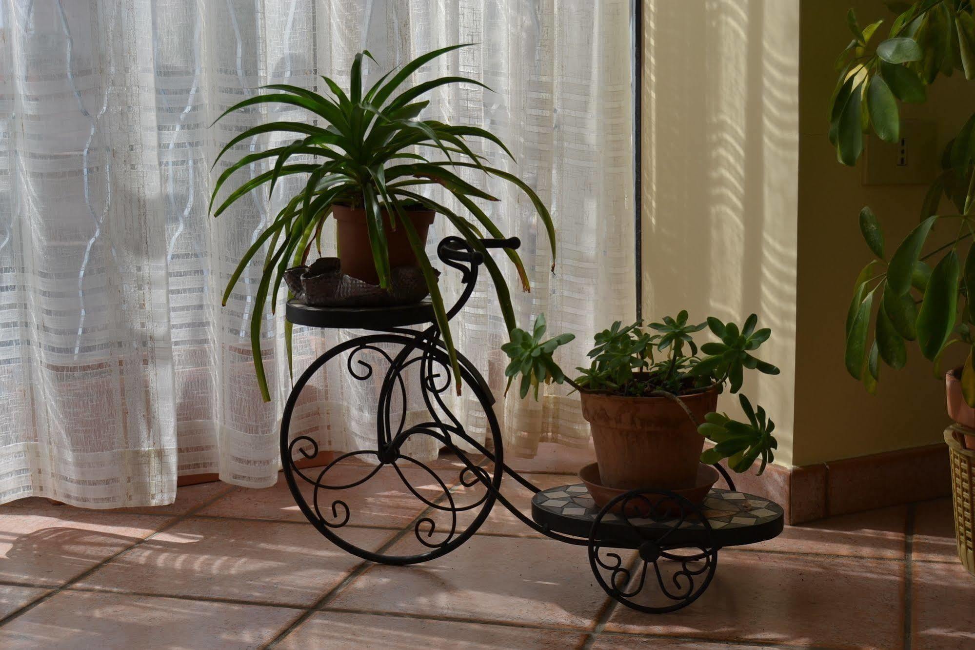 Bed & Breakfast Marena Sant'Agata Li Battiati Eksteriør billede